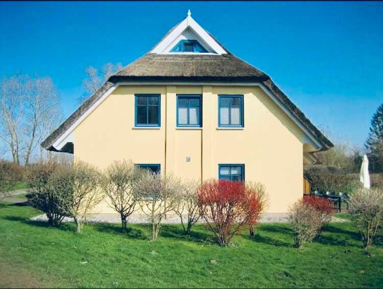 Komfortables Reetdachferienhaus Hasel 1 Puddemin Buitenkant foto